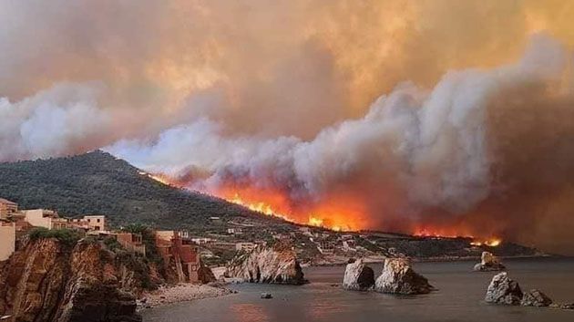 قتلى وجرحى جرّاء حرائق الغابات في الجزائر