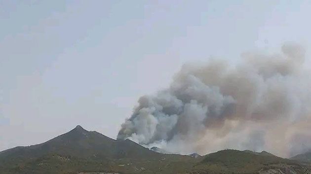 سليانة: مجهودات السيطرة على حريق جبل المرقب مُتواصلة