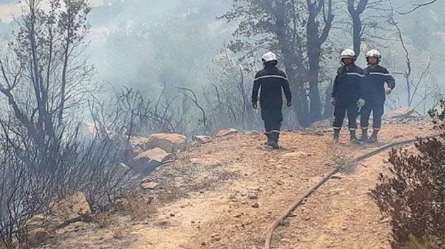 سليانة: السيطرة الأولية على حريق جبل المرقب بعمادة حمام بياضة من معتمدية الكريب