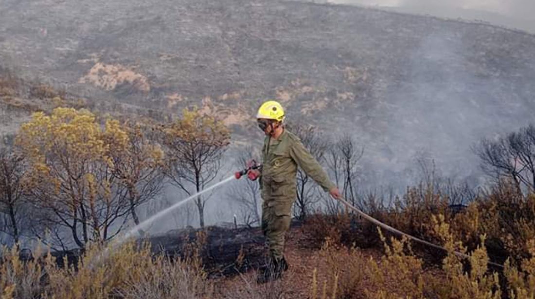 وزارة الفلاحة تؤكد السيطرة على كافة الحرائق وتُبقي الوضع تحت الرقابة وزارة الفلاحة تؤكد السيطرة على كافة الحرائق وتُبقي الوضع تحت الرقابة