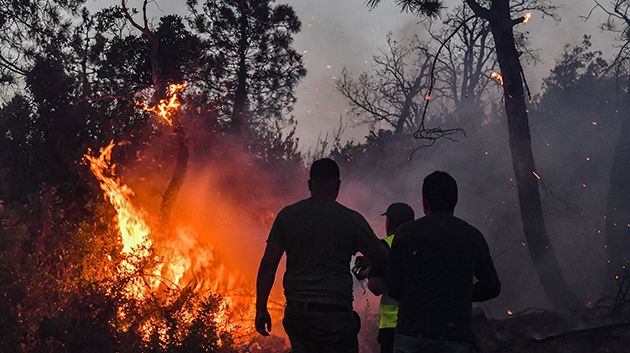 باجة: حصيلة ثقيلة لحرائق جويلية بنفزة والحماية المدنية تؤكد تفادي كارثة في وشتاتة