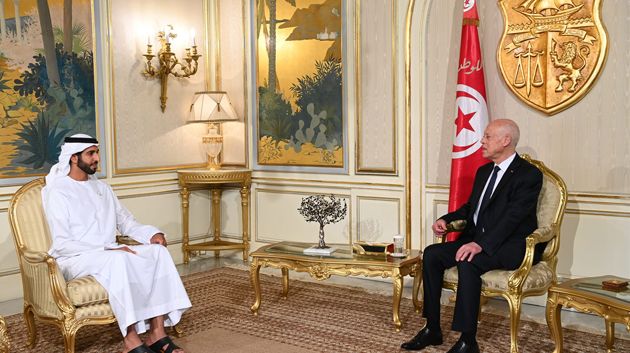 رئيس الجمهورية يلتقي وزير الدولة الإماراتي