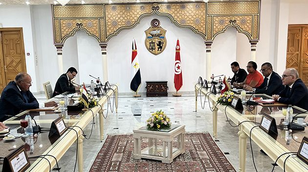 مصر تُعرب عن دعمها لـ'إجراءات وجهود رئيس الجمهورية قيس سعيد'
