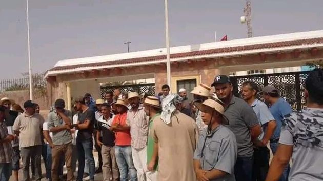 تطاوين: تجدّد احتجاجات العاملين في شركة البستنة