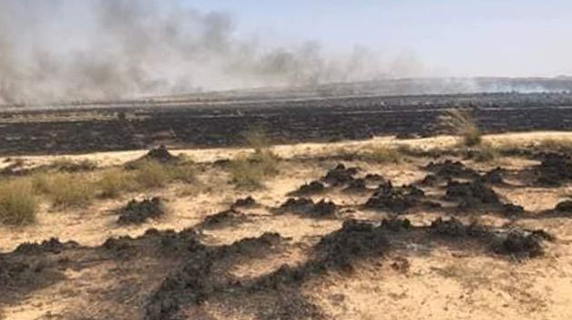 القصرين: السيطرة على حريق أتى على هكتار من نبتة الحلفاء