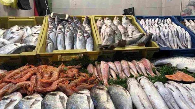 تراجع صادرات منتوجات الصيد البحري ب 3ر0 % من حيث الكمية و 7ر2 % من حيث القيمة