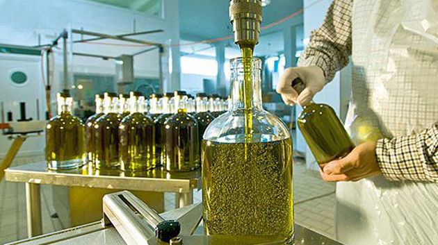 صادرات زيت الزيتون.. زيادة في العائدات رغم تراجع في الكمّيات