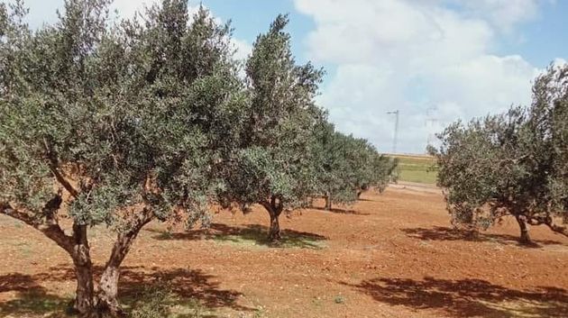استرجاع عقار دولي فلاحي بمساحة 3 هكتارات في ولاية جندوبة