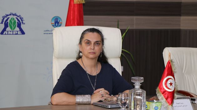 وزيرة البيئة تتعهد بالاحاطة التقنية بالشركات الاهلية في المجال البيئي