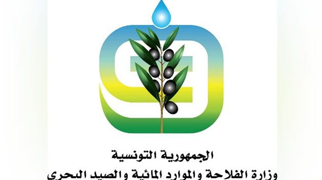 لمجابهة عنكبوت الغبار: منح مبيدات بقيمة 200 ألف دينار لفائدة صغار منتجي التمور 