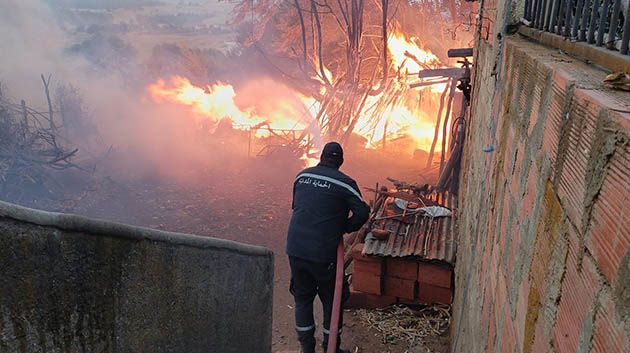 جندوبة: تقدّم هامّ في عمليات إطفاء حرائق فرنانة وعين دراهم وبلطة بوعوان