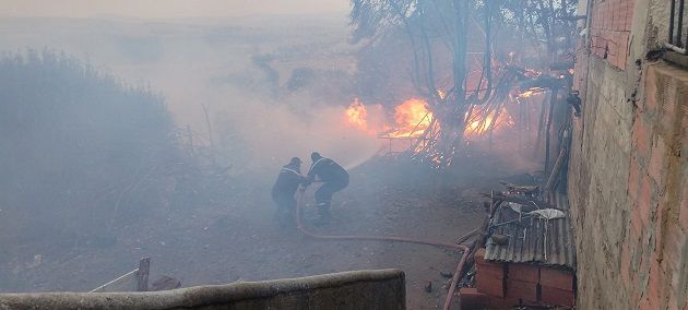 وزارة الفلاحة تؤكّد السّيطرة على الحرائق التي نشبت في الغابات بـ 3 ولايات