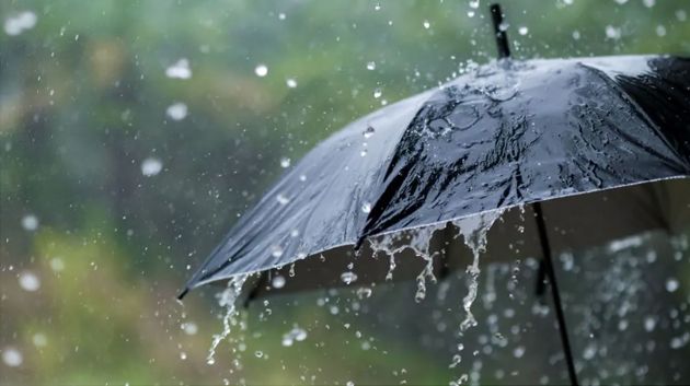 أمطار رعدية ومحليّا غزيرة بعد ظهر غد الأربعاء و يوم الخميس