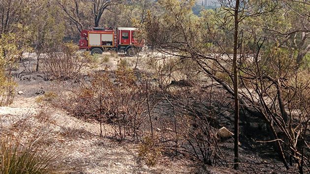 وفق تقديرات أوّلية: تضرّر حوالي 16 هكتارا من المساحات الغابية بجبل النحلي 