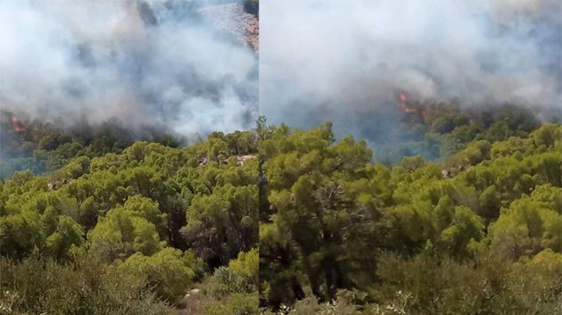 تواصل الجهود لإخماد حريق جبل بوعبد الله بكسرى