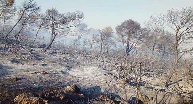 السيطرة على حريق جبل بوعبد الله بمعتمدية كسرى