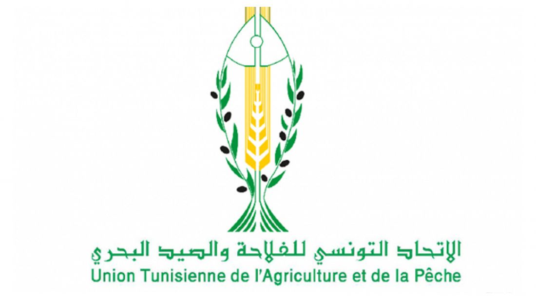 اتحاد الفلاحة بنابل: يُباع المنتوج الى المستهلك بثلاثة أضعاف سعره من المُنتِج اتحاد الفلاحة بنابل: يُباع المنتوج الى المستهلك بثلاثة أضعاف سعره من المُنتِج