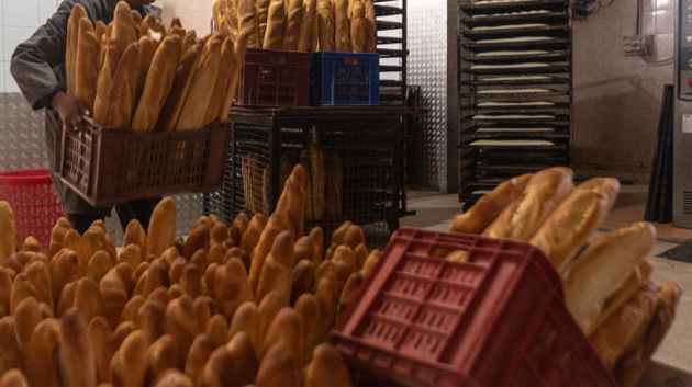 أريانة: حجز  1000 'باڨات' خلال حملة أمنية