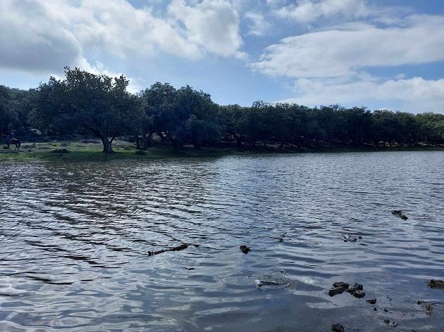 طقس اليوم: أمطار متفرقة ورعدية 