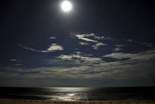 درجات الحرارة المتوقّعة هذه الليلة