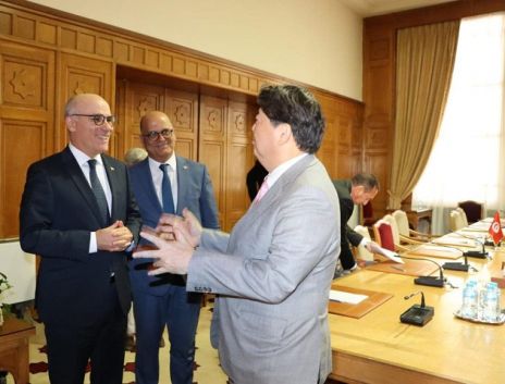 وزير الخارجية يجتمع بنظيره الياباني