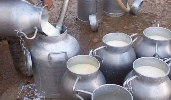 مهنيّون: الحليب المعلب متوفر بكميّات تغطي الاستهلاك اليومي.. ولكن..