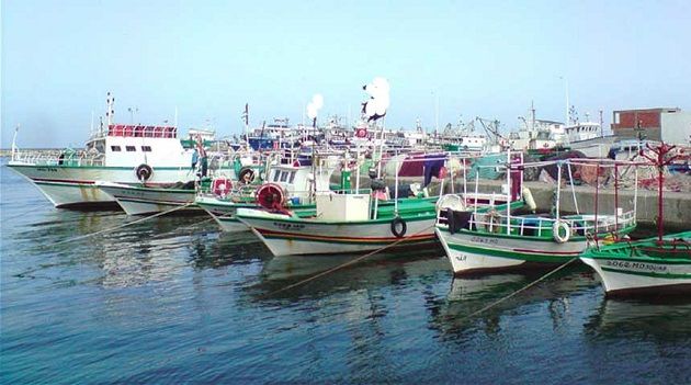 وزارة التجهيز تعلن بلوغ اشغال توسعه ميناء الصيد البحري بطبلبة 90 بالمائة