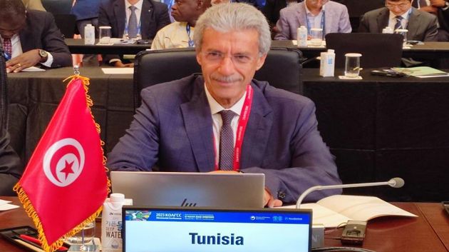 وزير الإقتصاد يؤكد أن بلدان القارة الأفريقية تواجه تحديات تنموية كبرى 