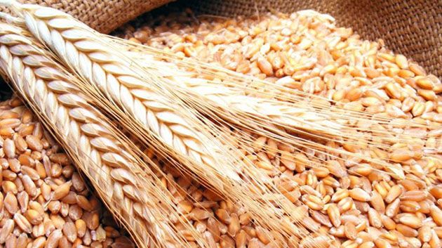 اقرار جملة من الاجراءات الاستثنائية لفائدة قطاع الحبوب