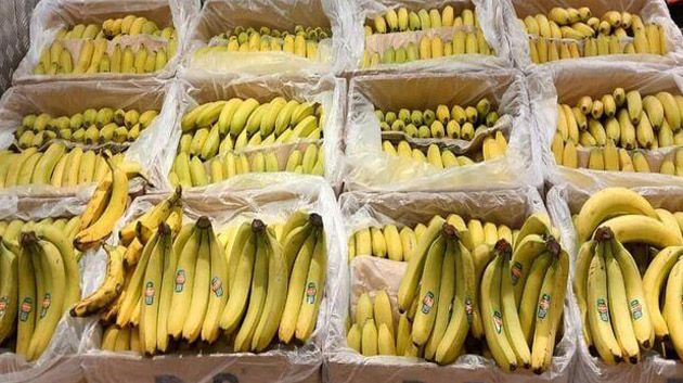 قابس: حجز 400 كغ من الموز