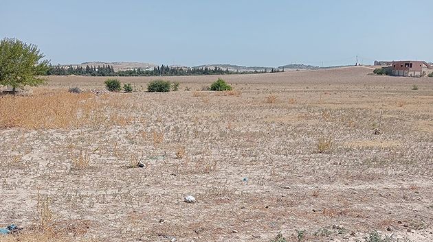 منوبة: استرجاع 03 عقارات دولية فلاحية بمساحة 17 هك