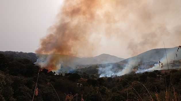 عين دراهم: اندلاع حريق بجبل سيدي عبدالله (صور)