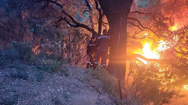 جندوبة: السيطرة على 5 حرائق متزامنة