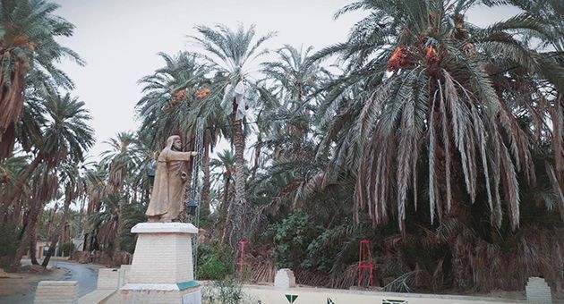 توزر تستعد لموسم سياحي واعد