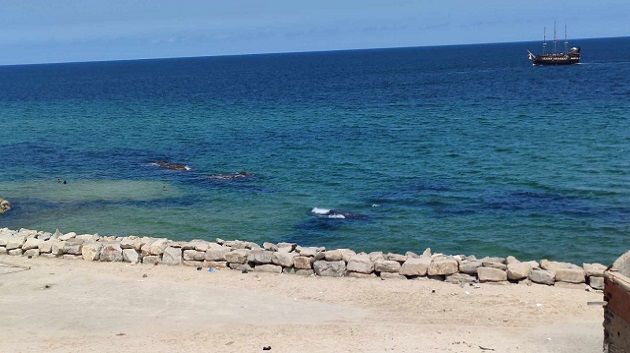 سحب قليلة بأغلب الجهات مع نزول بعض الأمطار المحلية