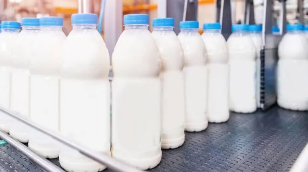 مسؤول يوضح السبب وراء تراجع مادة الحليب بالأسواق