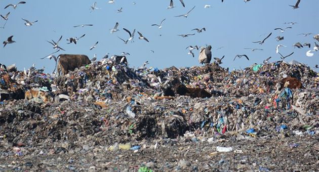 المصب الوحيد لبلديات تونس الكبرى.. غلق مفاجئ لمصب برج شاكير 