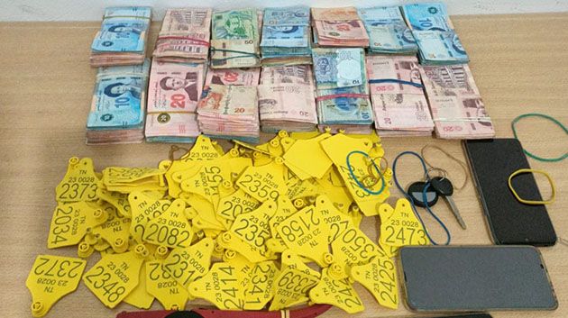 غار الدماء : تفكيك عصابة لتهريب الأبقار و ايقاف موظف