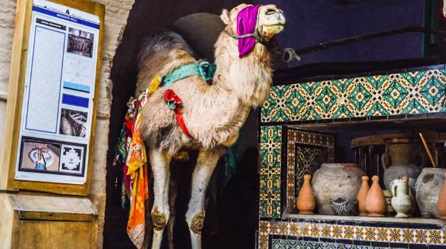 تونس ليك ليوم الجمعة 6 أكتوبر 2023