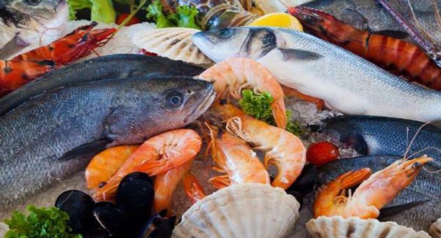 تونس تحقق فائضا تجاريا بمنتجات الصيد البحري 
