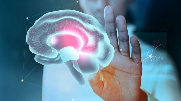 رئيس جمعية طب الأعصاب: إسعاف المريض فور إصابته بأعراض الجلطة الدماغية يضمن تعافيه التام