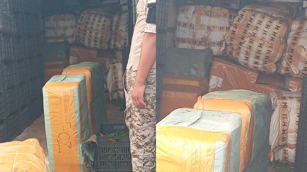 جربة: إحباط محاولة تهريب بضائع قيمتها تجاوزت الـ 4 مليون دينار