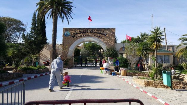 الوكالة الوطنية لحماية المحيط تبرمج يوما توعويا بيئيا مفتوحا بمنتزه النحلي بمناسبة العيد الوطني للشجرة