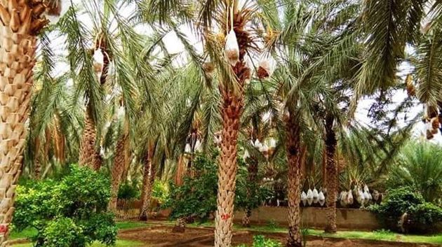   تونس ليك ليوم الخميس 23 نوفمبر 2023