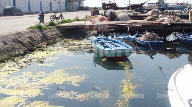 زيارة وزير الفلاحة وكاتب الدولة إلي ولاية المهدية