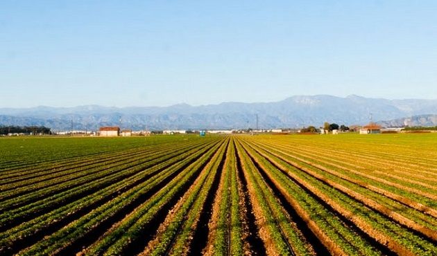 نابل : انطلاق موسم الزراعات الكبرى وسط تشكيات من انعدام توفر البذور