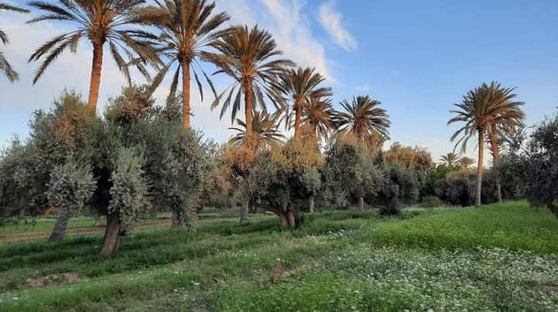 تونس ليك ليوم الخميس 7 ديسمبر 2023