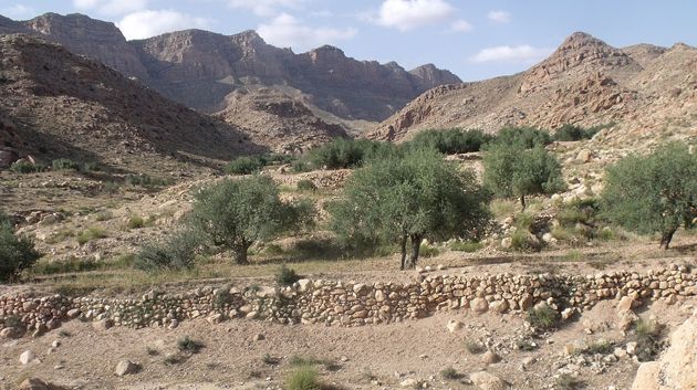 تونس ليك ليوم الجمعة 8 ديسمبر 2023