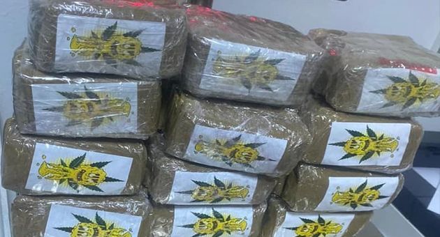 الديوانة تحجز نصف طن من الزطلة و2.5 مليون قرص مخدر خلال السنة الحالية