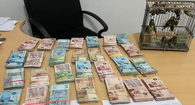 حجز 14 عصفورا نادرا ومبلغ مالي خلال دورية مشتركة بين وحدات الحدود